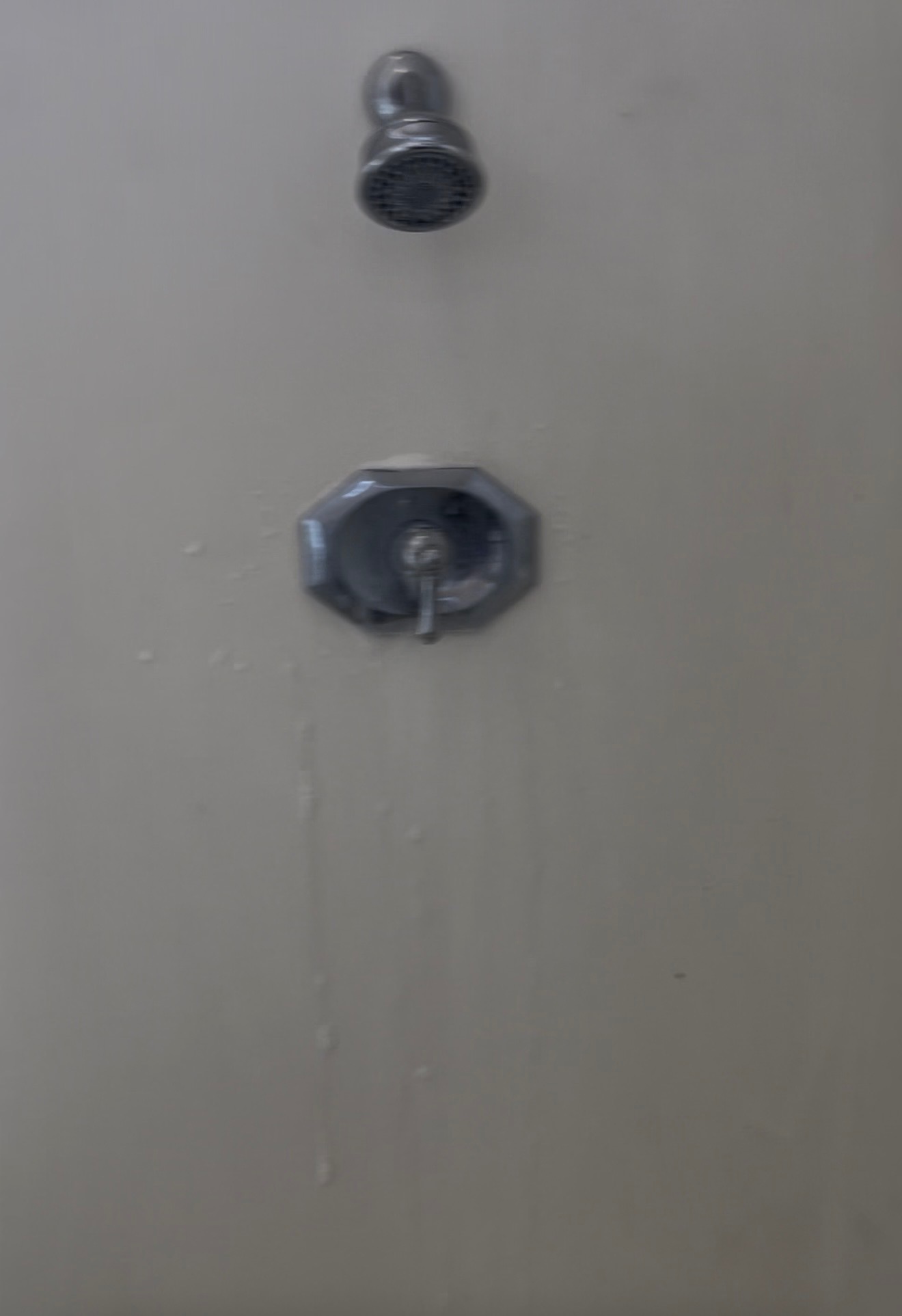 Shower fixtures — before professional cleaning