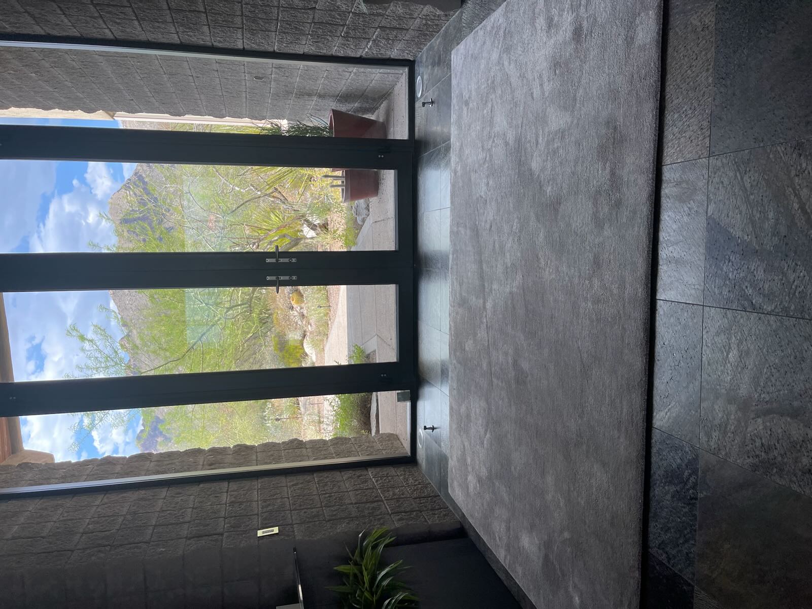 Polished foyer with plush rug and desert view